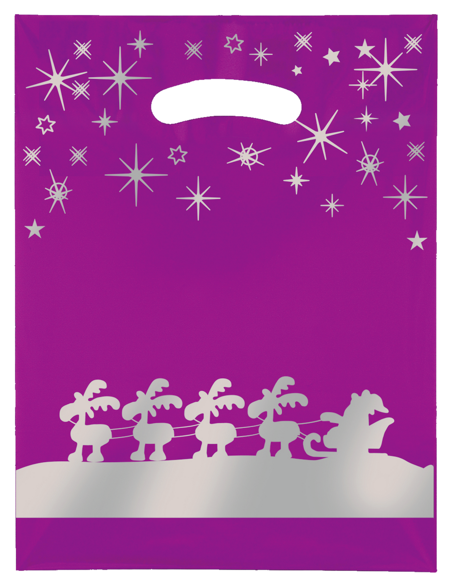 Santa Sleigh Berry